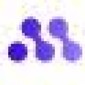 Profile photo of Mentee Robotics